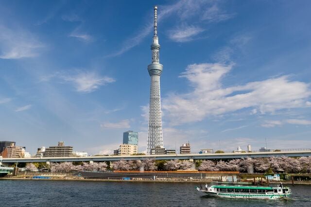 どうしてこんなところに？ 　地上450mの東京スカイツリーで遭遇した「昆虫」に反響