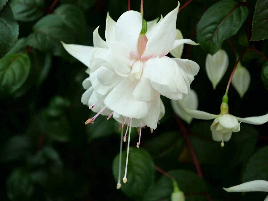 Wirestock Creators/shutterstock.com