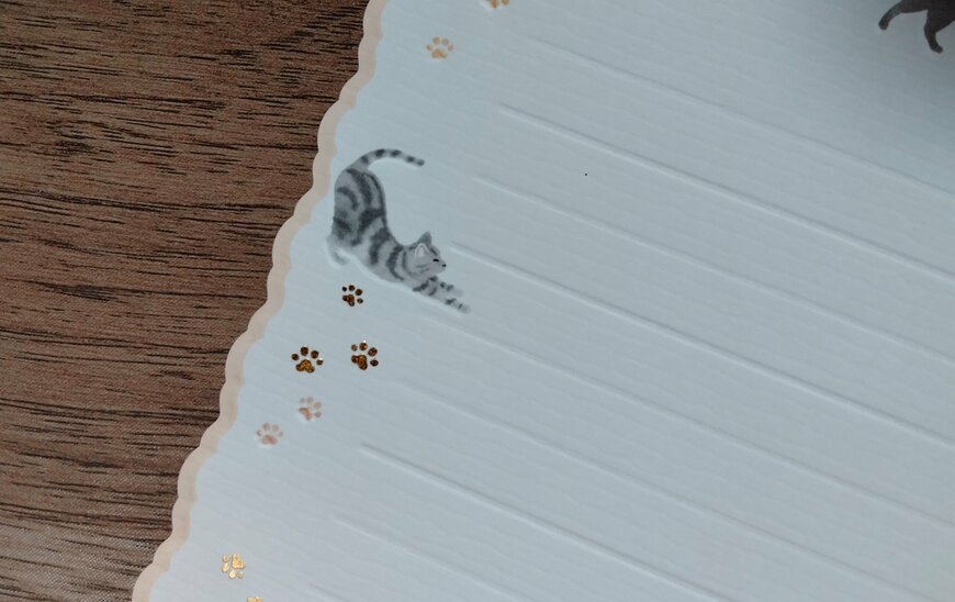 筆者撮影（ダイソー、レターセット（ネコ））