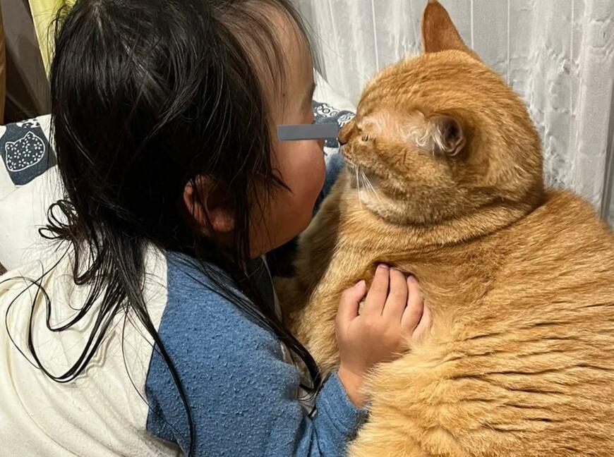 出所：@kagisuzu0531