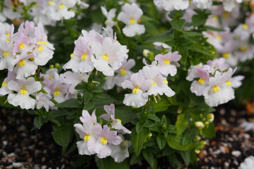 shinss/istockphoto.com