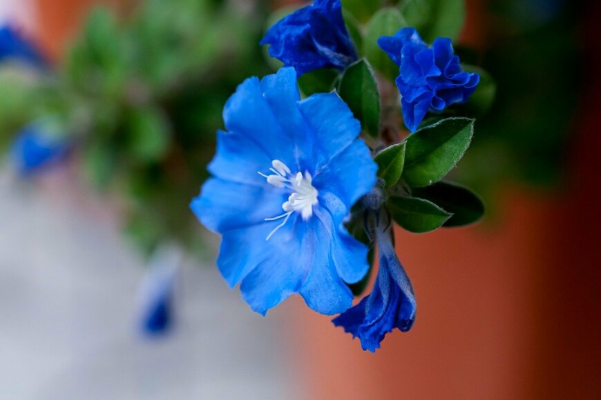 karimitsu/istockphoto.com