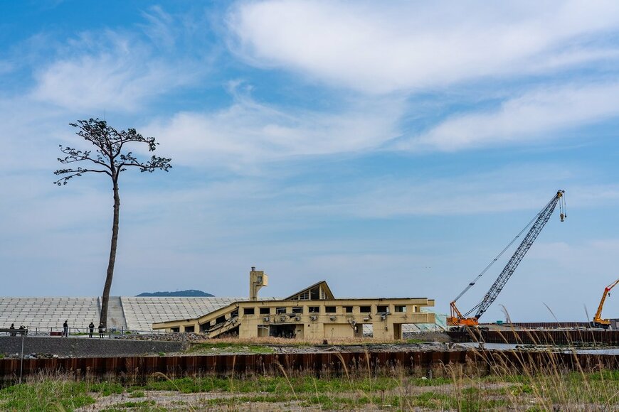 「監察医 朝顔」東日本大震災を真っ向から描いたドラマに、令和の私たちが心を揺さぶられる理由