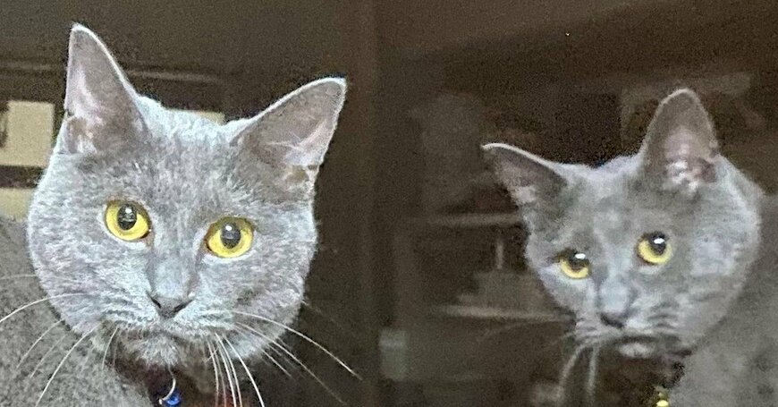 出所：@luna7taka9