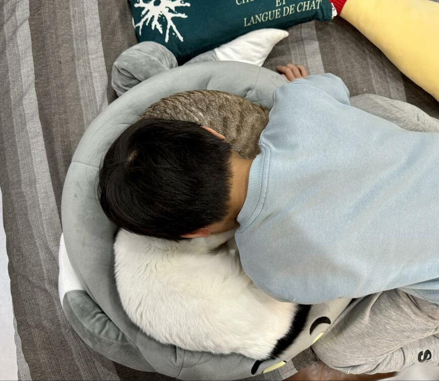 出所：@omochi_nam01