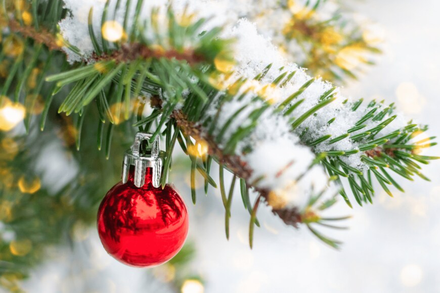 Ro_ksy/shutterstock.com