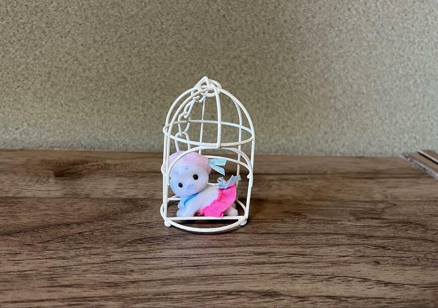 筆者撮影（セリア、アンティーク調アイアンバードハウス）