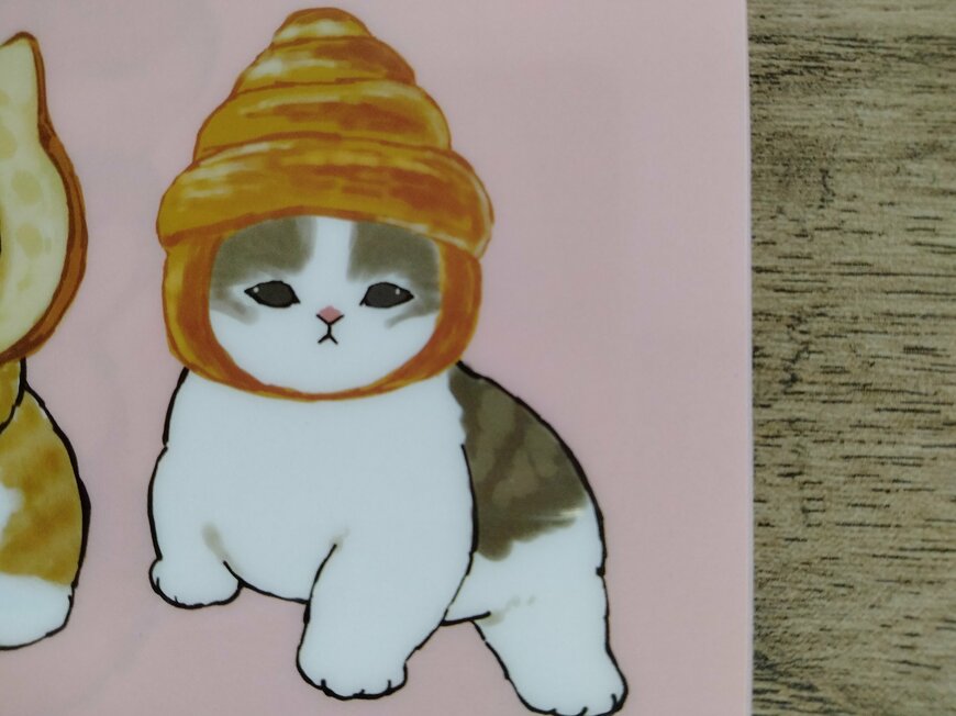 筆者撮影（セリア、モフサンド A4クリアファイル2）