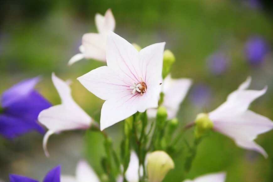 onosan/istockphoto.com