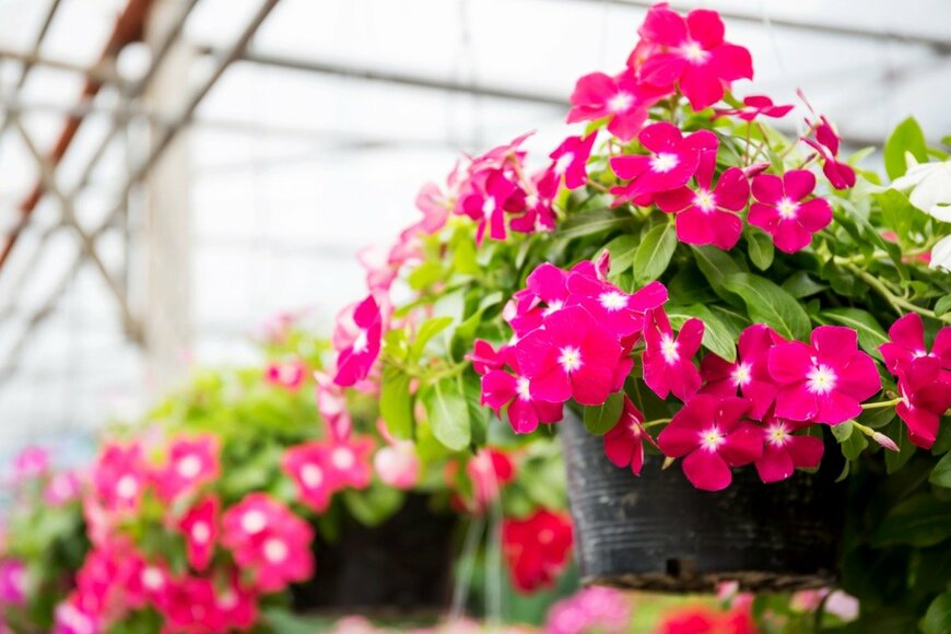 Suwatwongkham/shutterstock.com