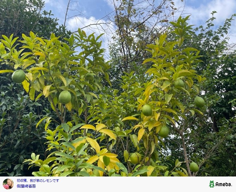 出所：假屋崎省吾のAmebaブログ 参照日：2025年10月1日