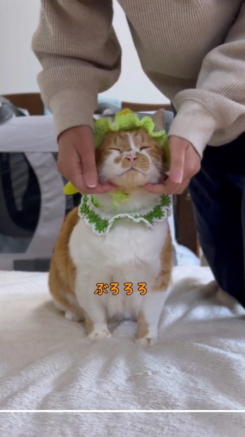 出所：@monburan_sanpo 