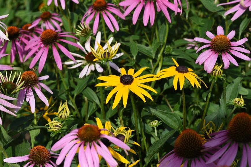 emer1940/istockphoto.com