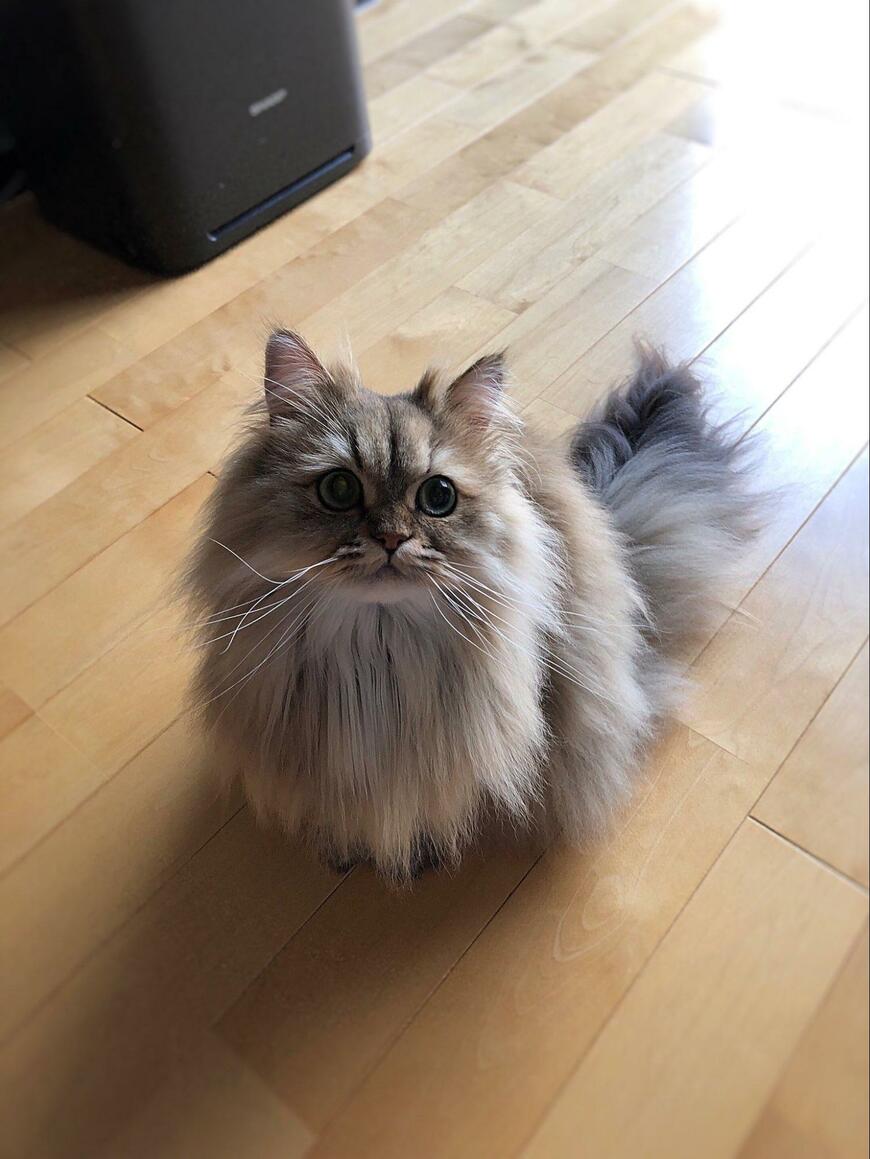 出所：@UphQepCv8J