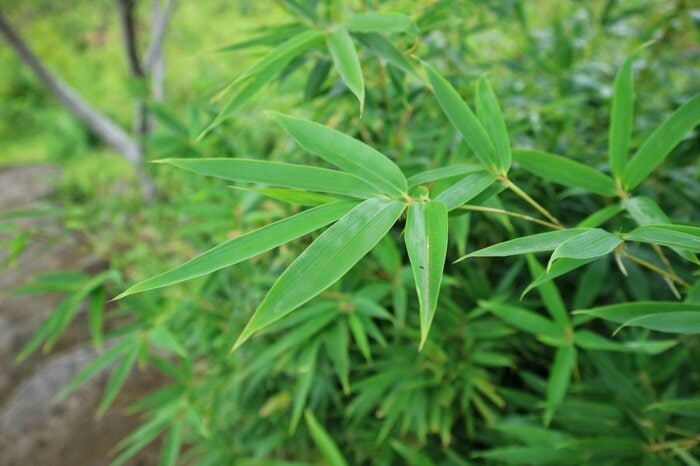 Octopus16/shutterstock.com