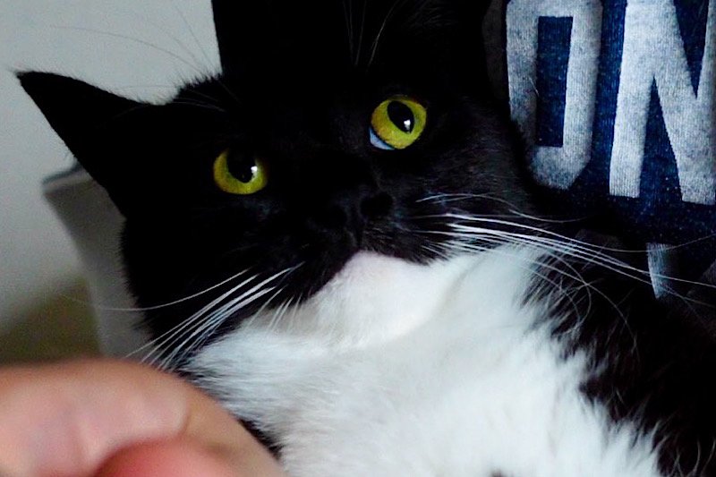 出所：@unicouniuni3