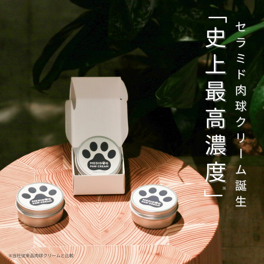 出所：MEDICAT株式会社提供