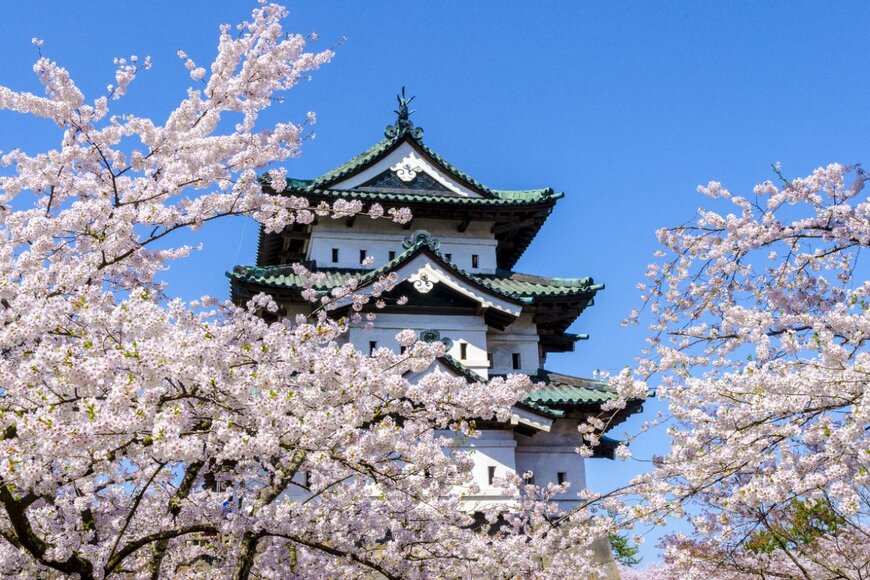 【お花見】「日本三大桜の名所」とは？「日本三大桜」との違いも紹介