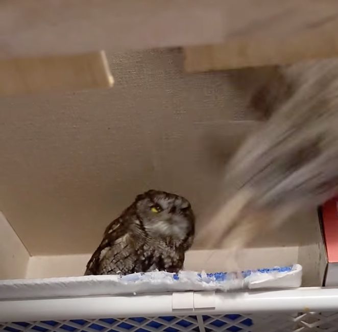 投稿動画のワンシーン