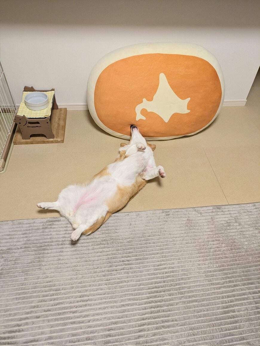 日本地図ができてる！