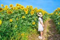 厚生年金「月15万円以上」 割合は何パーセントか。平均受給額は14万3965円