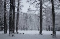 「北陸のとある町」に設置された巨大なごみ箱に違和感　ごみを漁るクマかと思いきや…「まさかの事実」が話題