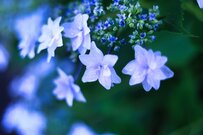 【6月支給分から増額】老齢年金生活者支援給付金とは？支給要件・給付額・申請方法を解説！《申請しないともらえない》