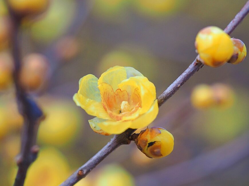 oasis2me/istockphoto.com