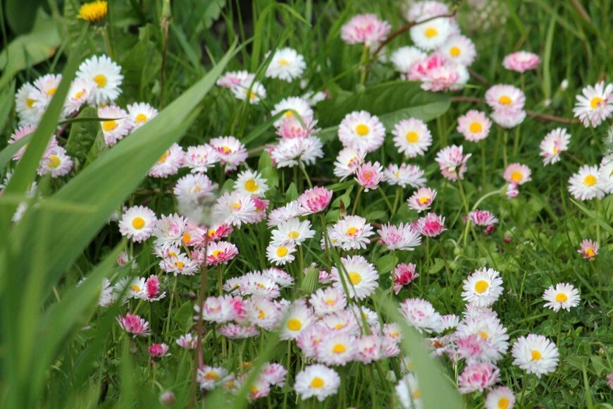 kazakovmaksim/istockphoto.com