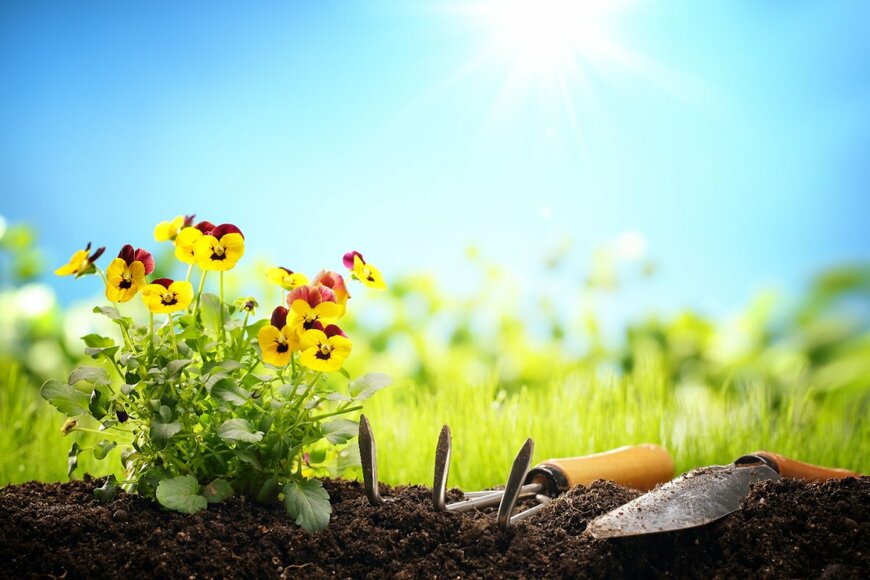 fotohunter/shutterstock.com