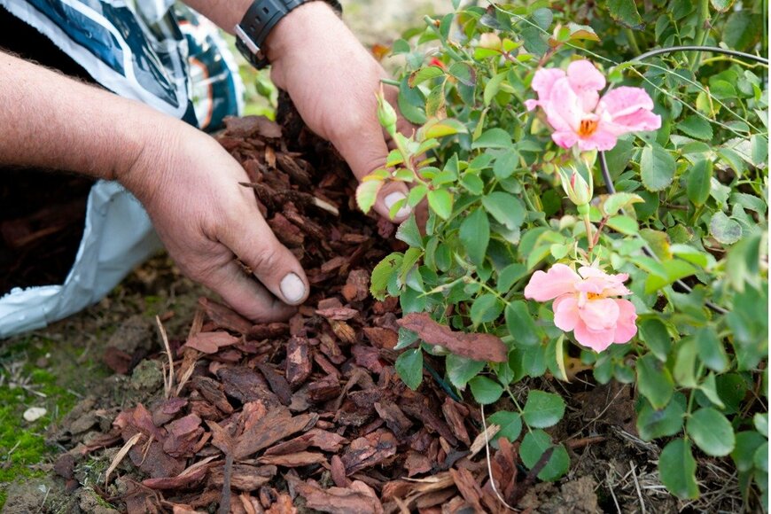 Zummolo/istockphoto.com