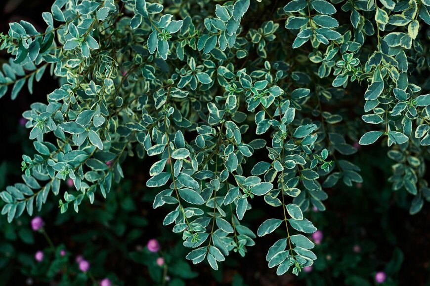 Mr.Cito/istockphoto.com