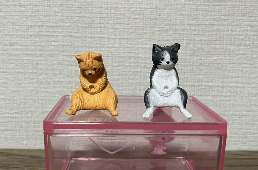 筆者撮影（セリア、水槽用オブジェ ねこ）