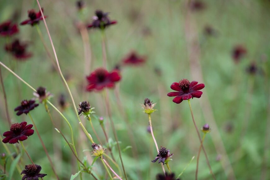 marinowifi/istockphoto.com