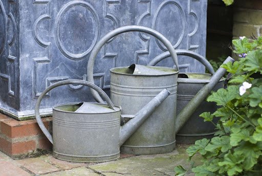 Dariusz Gora/shutterstock.com