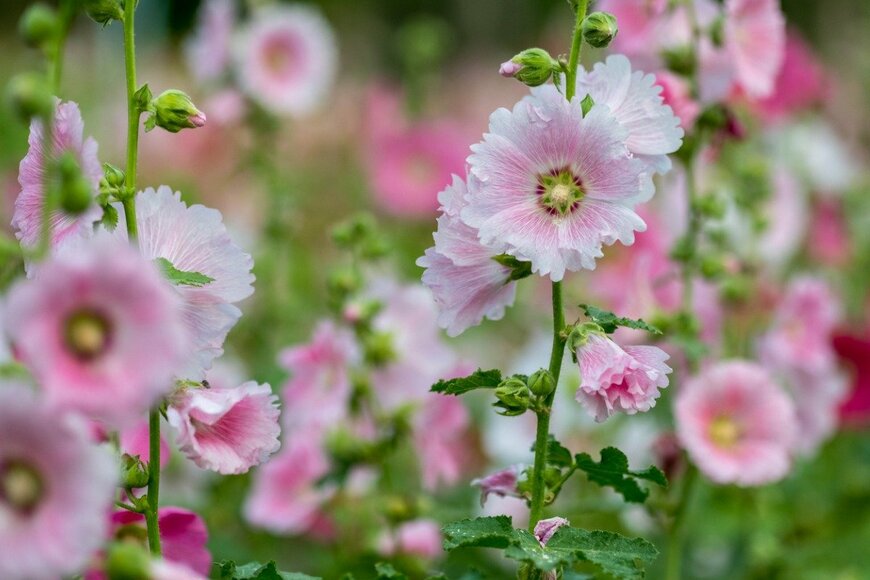 Tods0859/istockphoto.com