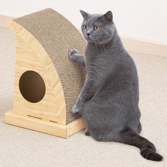 出所：ニトリネット【公式】 家具・インテリア通販