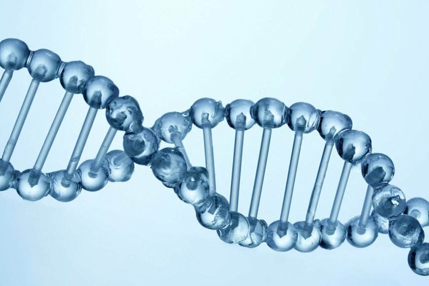 Vetre/shutterstock.com