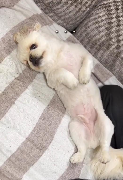 出所：@mucho_world