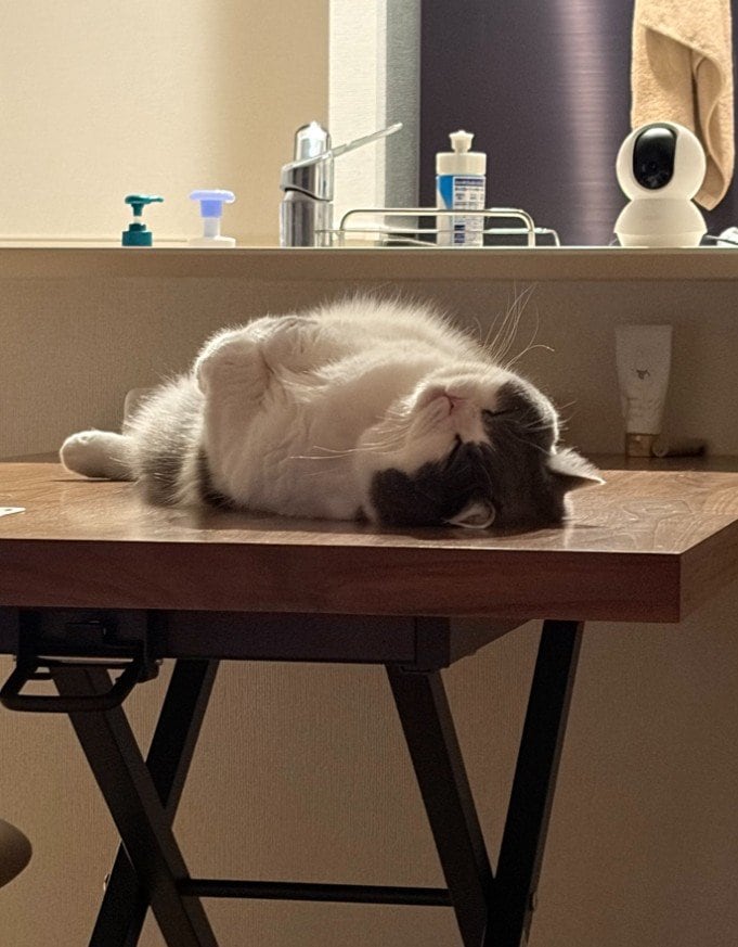 出所：@brimochi222