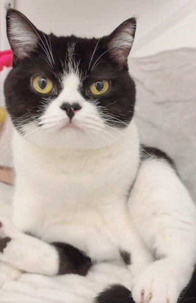 出所：@saburou214