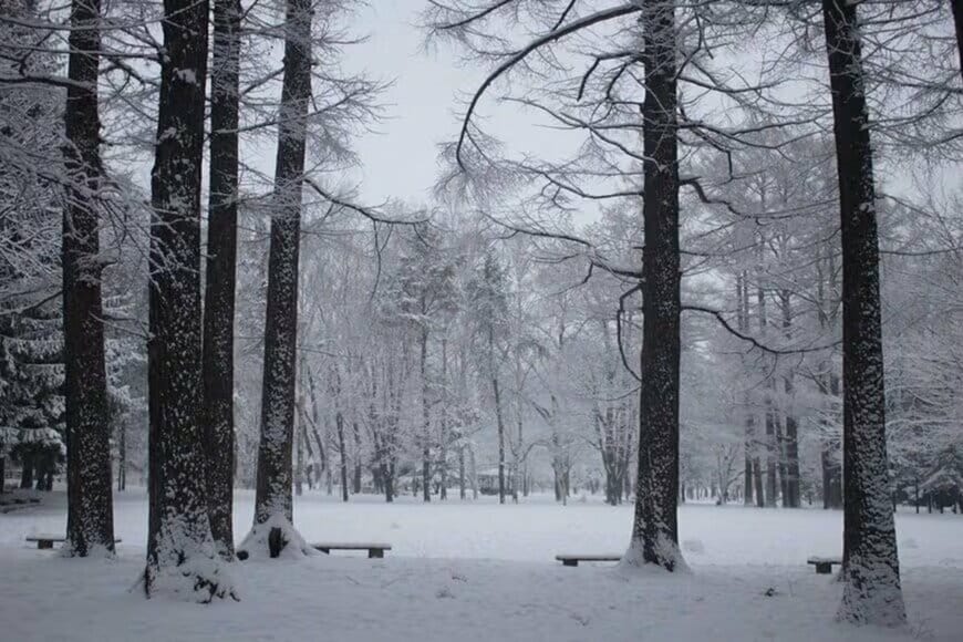 「北陸のとある町」に設置された巨大なごみ箱に違和感　ごみを漁るクマかと思いきや…「まさかの事実」が話題