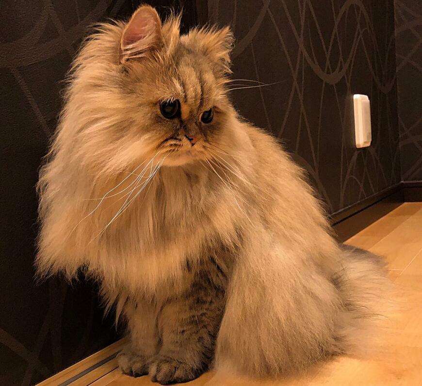 出所：@UphQepCv8J