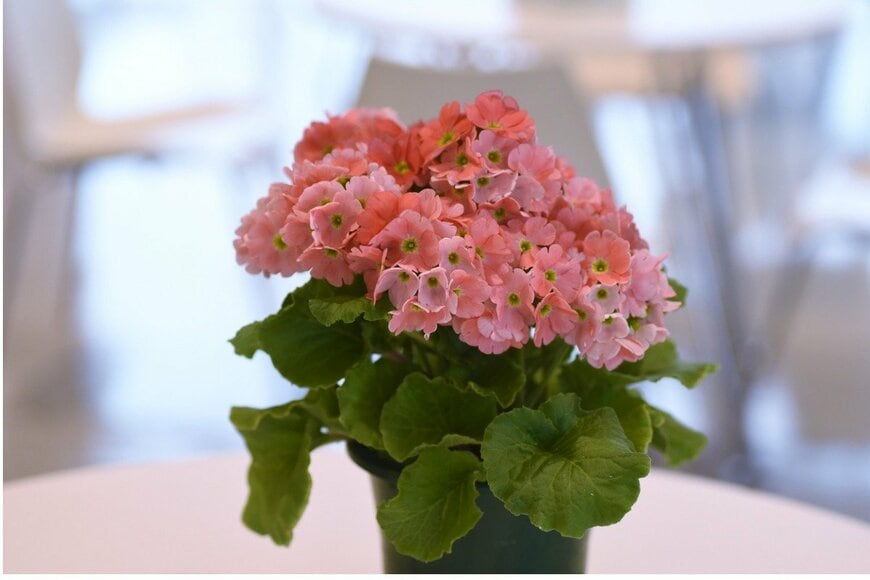 ndefined undefined/istockphoto.com