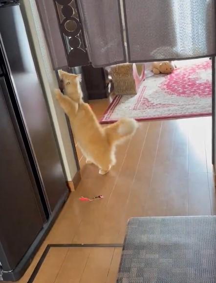 出所：@NEKOLAND13