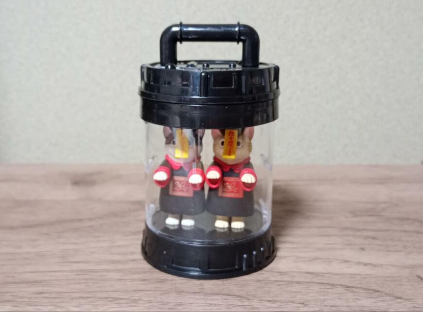 筆者撮影（セリア、ラボポッド型ディスプレイケース）