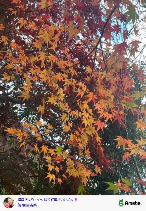 出所：假屋崎省吾の公式ブログ　参照日：2025年12月2日