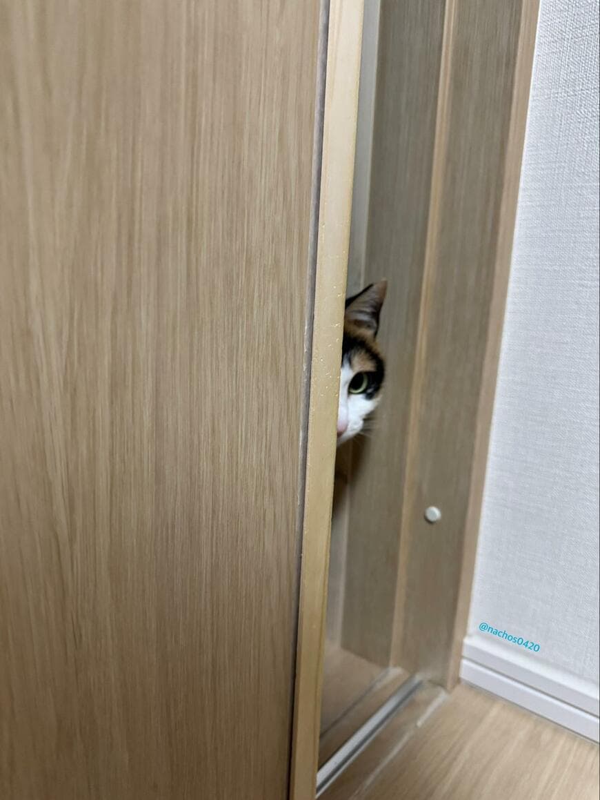 出所：@nachos0420