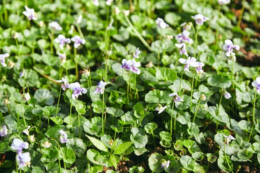 indigosmx/istockphoto.com