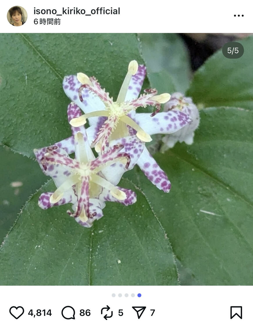 出所：磯野貴理子のInstagram（＠isono_kiriko_official）参照日：2025年9月18日